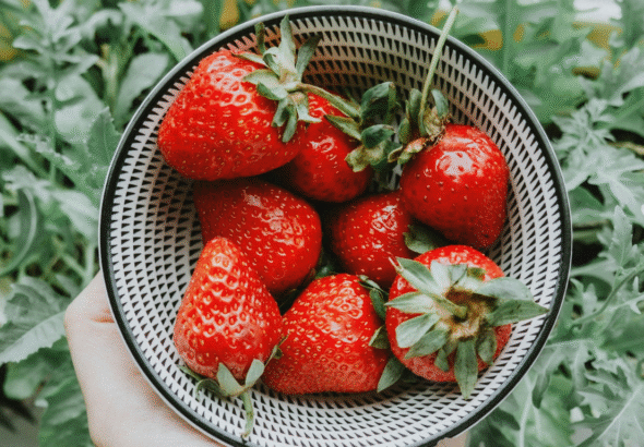 Foods for Penis Health